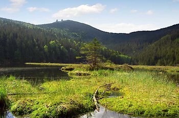 Urlaub im Bayerischen Wald